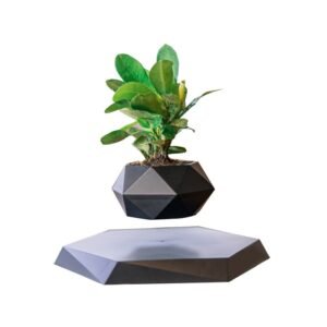 Magnetic Levitation Pot Plants